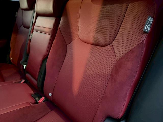 �����k�d�w�t�r���X�@�n�r�h�m�b�D����