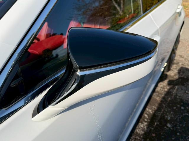 �����k�d�w�t�r���X�@�n�r�h�m�b�D����