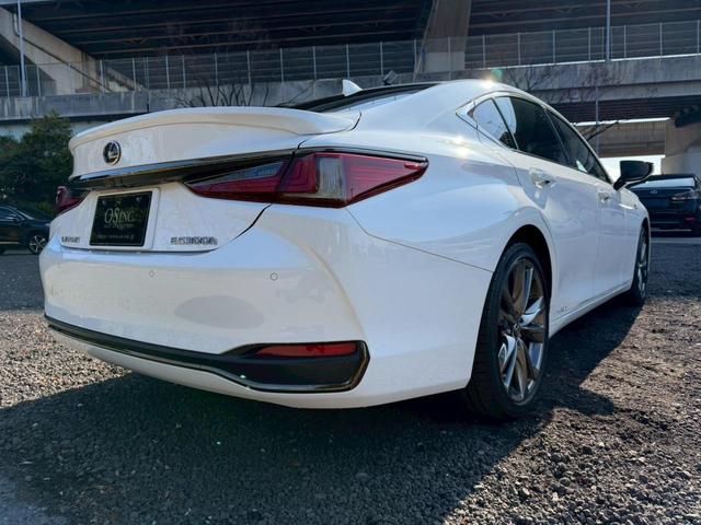 �����k�d�w�t�r���X�@�n�r�h�m�b�D����