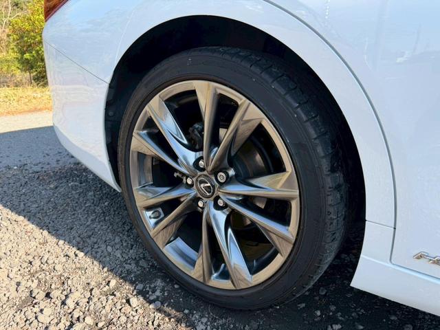 �����k�d�w�t�r���X�@�n�r�h�m�b�D����