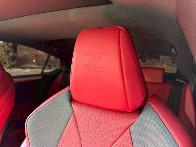 �����k�d�w�t�r���X�@�n�r�h�m�b�D����