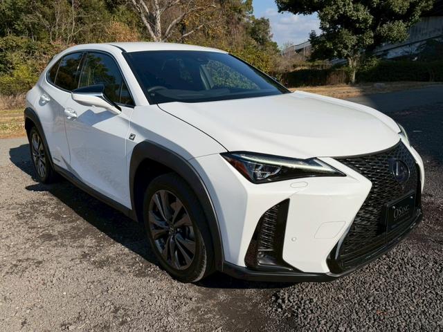 ＵＸ ２５０ｈ　Ｆスポーツ　衝突軽減／全周囲カメラ／レーダークルーズコントロール／コーナーセンサー／ＢＳＭ／ハンドルヒーター／シートヒーター／パワーシート／シートメモリ／ＥＴＣ／Ｂｌｕｅｔｏｏｔｈ／電動リアゲート／バックカメラ（17枚目）