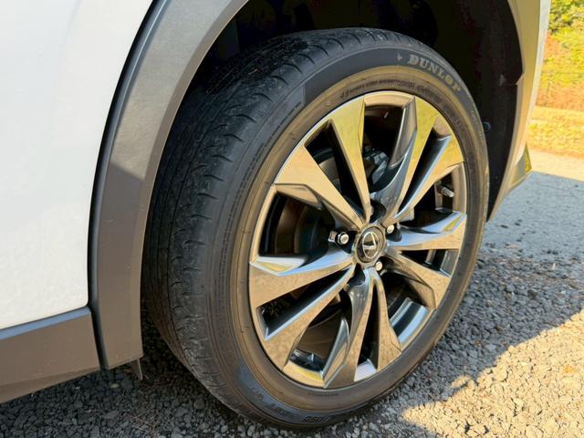 ＵＸ ２５０ｈ　Ｆスポーツ　衝突軽減／全周囲カメラ／レーダークルーズコントロール／コーナーセンサー／ＢＳＭ／ハンドルヒーター／シートヒーター／パワーシート／シートメモリ／ＥＴＣ／Ｂｌｕｅｔｏｏｔｈ／電動リアゲート／バックカメラ（34枚目）