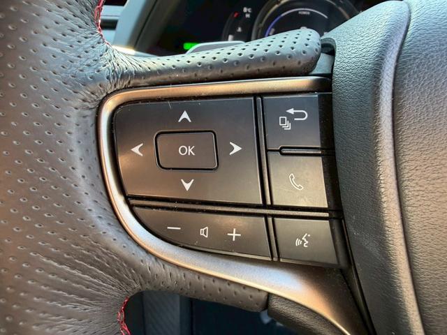 ＵＸ ２５０ｈ　Ｆスポーツ　衝突軽減／全周囲カメラ／レーダークルーズコントロール／コーナーセンサー／ＢＳＭ／ハンドルヒーター／シートヒーター／パワーシート／シートメモリ／ＥＴＣ／Ｂｌｕｅｔｏｏｔｈ／電動リアゲート／バックカメラ（45枚目）