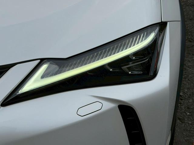 ���I�v�V�������j���[�������ɂ����p������A�����肾���̓��ʂȃL�����y�[���I���񂱂̋@��ɂ����p���������܂����ڂ����̓X�^�b�t�܂ł��₢���킹���������܂��I