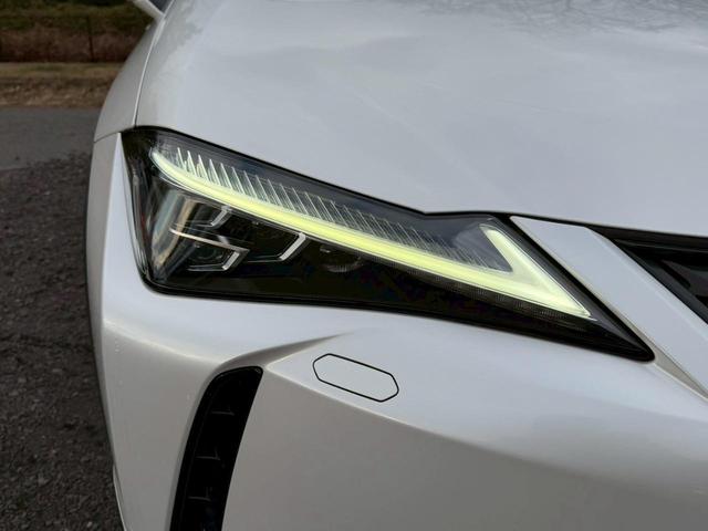 �����k�d�w�t�r���X�@�n�r�h�m�b�D����