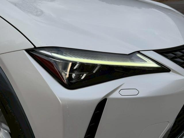 �����k�d�w�t�r���X�@�n�r�h�m�b�D����