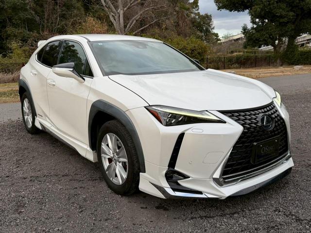 �����k�d�w�t�r���X�@�n�r�h�m�b�D����