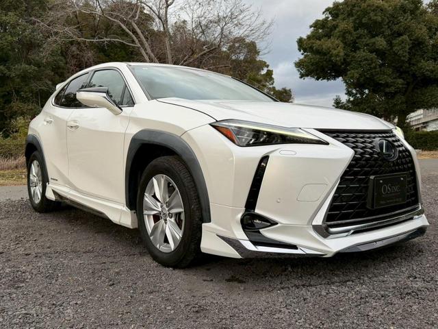 �����k�d�w�t�r���X�@�n�r�h�m�b�D����