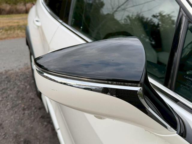 �����k�d�w�t�r���X�@�n�r�h�m�b�D����