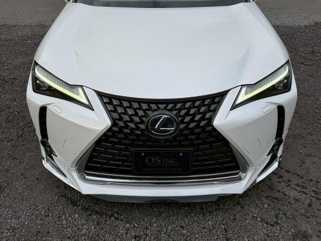 �����k�d�w�t�r���X�@�n�r�h�m�b�D����