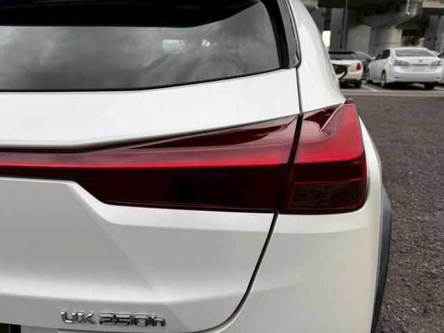 �����k�d�w�t�r���X�@�n�r�h�m�b�D����