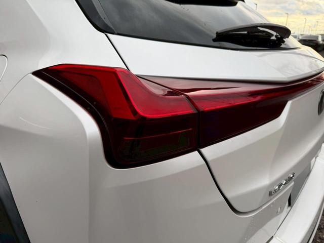 �����k�d�w�t�r���X�@�n�r�h�m�b�D����