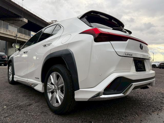 �����k�d�w�t�r���X�@�n�r�h�m�b�D����