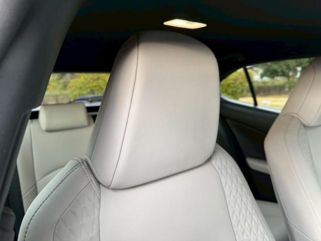 �����k�d�w�t�r���X�@�n�r�h�m�b�D����