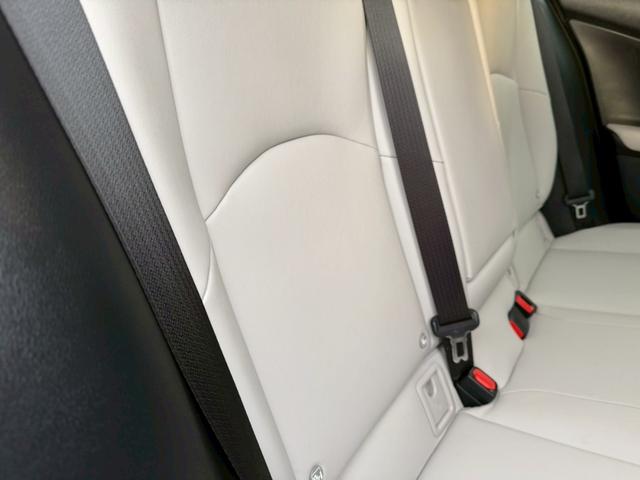 �����k�d�w�t�r���X�@�n�r�h�m�b�D����