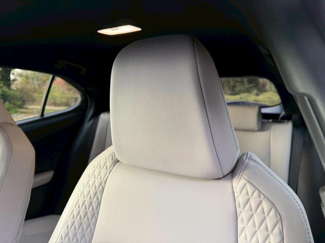 �����k�d�w�t�r���X�@�n�r�h�m�b�D����