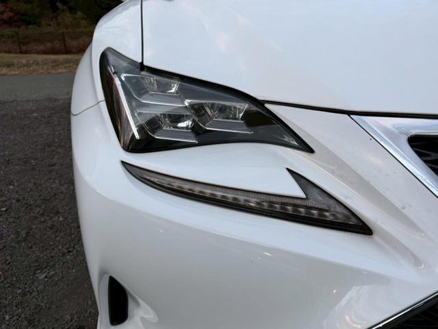 �����k�d�w�t�r���X�@�n�r�h�m�b�D����