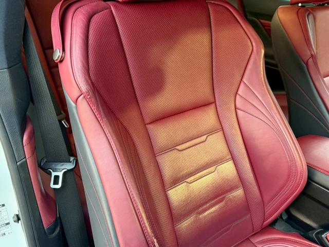 �����k�d�w�t�r���X�@�n�r�h�m�b�D����