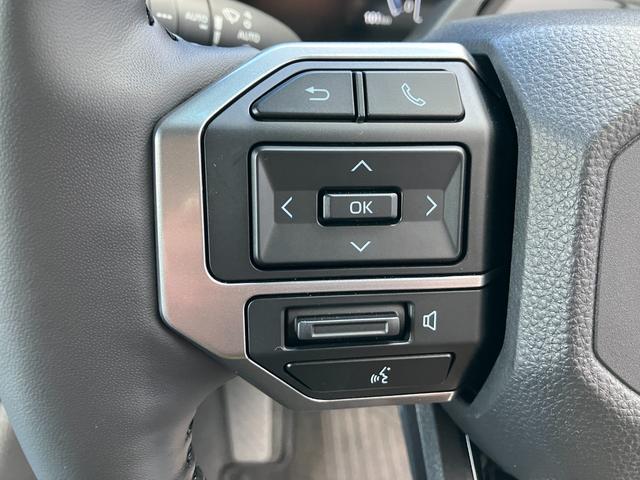 ランドクルーザー250 VX ランドクルーザー250/VX/サンルーフ/全周囲カメラ/レザーシート/レーダークルーズ/7人乗り/デジタルインナーミラー/シートヒーター/パワーバックドア(30枚目)