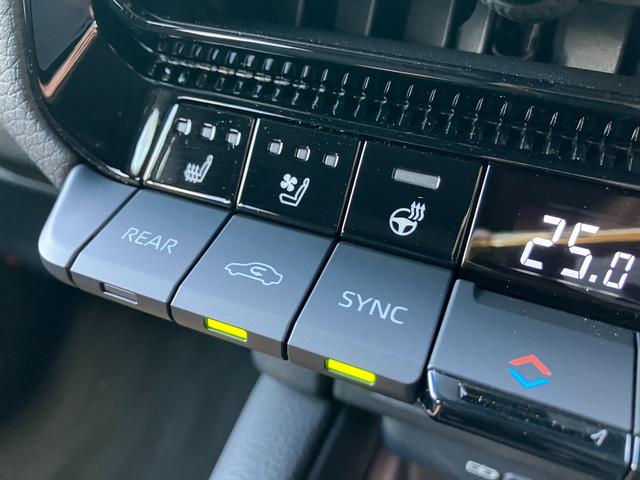 ランドクルーザー250 VX ランドクルーザー250/VX/サンルーフ/全周囲カメラ/レザーシート/レーダークルーズ/7人乗り/デジタルインナーミラー/シートヒーター/パワーバックドア(38枚目)