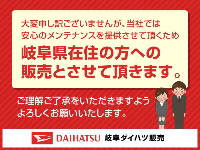Xホワイトアクセントリミテッド SAIII 両側電動スライド(19枚目)
