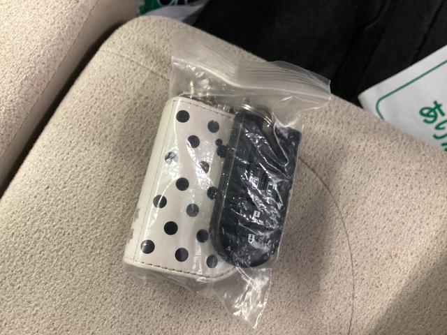 ムーヴキャンバス Ｇメイクアップリミテッド　ＳＡＩＩＩ　衝突被害軽減ブレーキ　横滑り防止装置　４ＷＤ　オートマチックハイビーム　アイドリングストップ　ステアリングスイッチ　オートライト　キーフリーシステム　オートエアコン　ナビ　ドラレコ　ＥＴＣ　マット（34枚目）
