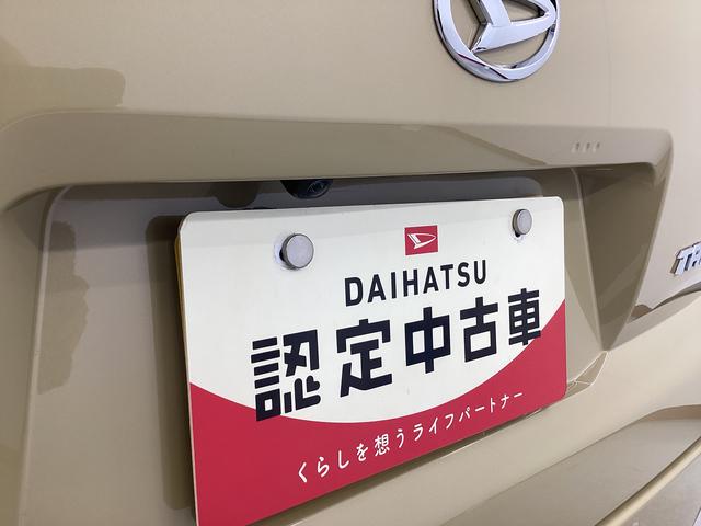 タフト Ｘ　衝突被害軽減ブレーキ　横滑り防止装置　オートハイビーム　アイドリングストップ　ステアリングスイッチ　オートライト　キーフリーシステム　オートエアコン　パノラマカメラ　マット　バイザー（21枚目）