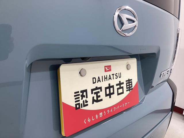 タフト Ｘ　衝突被害軽減ブレーキ　横滑り防止装置　オートハイビーム　アイドリングストップ　ステアリングスイッチ　オートライト　キーフリーシステム　オートエアコン　パノラマカメラ　マット　バイザー（21枚目）