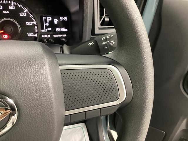 タフト Ｘ　衝突被害軽減ブレーキ　横滑り防止装置　オートハイビーム　アイドリングストップ　ステアリングスイッチ　オートライト　キーフリーシステム　オートエアコン　パノラマカメラ　マット　バイザー（29枚目）