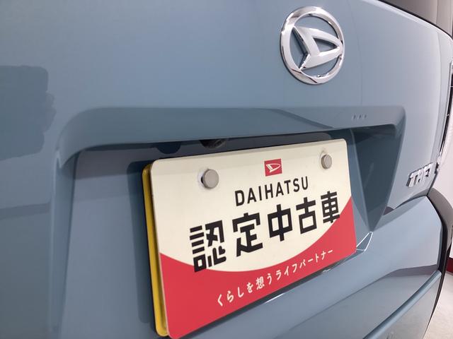 タフト Ｘ　衝突被害軽減ブレーキ　横滑り防止装置　オートハイビーム　アイドリングストップ　ステアリングスイッチ　オートライト　キーフリーシステム　オートエアコン　パノラマカメラ　マット　バイザー（21枚目）