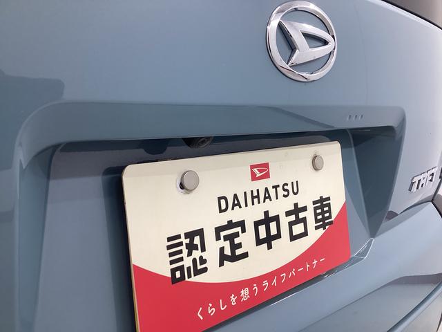 タフト Ｘ　衝突被害軽減ブレーキ　横滑り防止装置　オートハイビーム　アイドリングストップ　ステアリングスイッチ　オートライト　キーフリーシステム　オートエアコン　パノラマカメラ　マット　バイザー（21枚目）