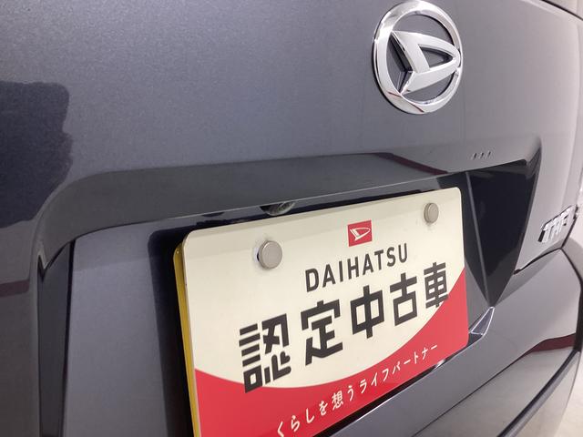 タフト Ｘ　衝突被害軽減ブレーキ　横滑り防止装置　オートハイビーム　アイドリングストップ　ステアリングスイッチ　オートライト　キーフリーシステム　オートエアコン　パノラマカメラ　マット　バイザー（21枚目）