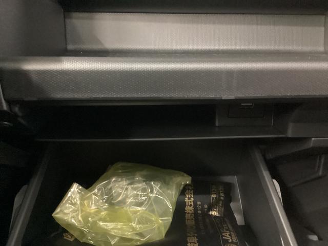 タフト Ｘ　衝突被害軽減ブレーキ　横滑り防止装置　オートハイビーム　アイドリングストップ　ステアリングスイッチ　オートライト　キーフリーシステム　オートエアコン　パノラマカメラ　マット　バイザー（38枚目）