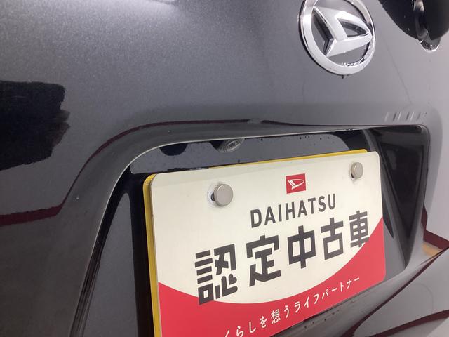 タント Ｘ　衝突被害軽減ブレーキ　横滑り防止装置　オートハイビーム　アイドリングストップ　ステアリングスイッチ　オートライト　キーフリーシステム　オートエアコン　ナビ　ドラレコ　パノラマカメラ　ＥＴＣ　マット（21枚目）