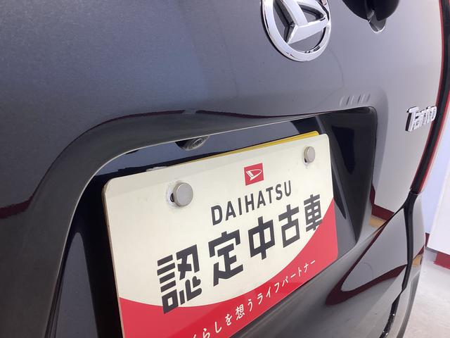 タント Ｘ　衝突被害軽減ブレーキ　横滑り防止装置　オートハイビーム　アイドリングストップ　ステアリングスイッチ　オートライト　キーフリーシステム　オートエアコン　パノラマカメラ　マット　バイザー（21枚目）