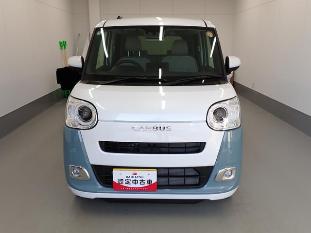 ムーヴキャンバス ストライプスG(2枚目)