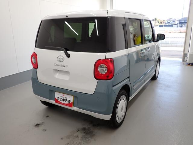 ムーヴキャンバス ストライプスG(5枚目)