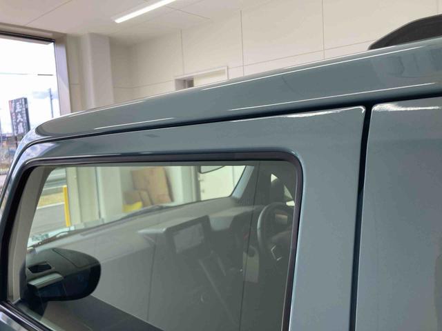 タフト Ｇ　ダーククロムベンチャー（20枚目）