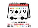 販売は岐阜県在住でメンテナンスでご入庫頂ける方が条件になります!卸売不可