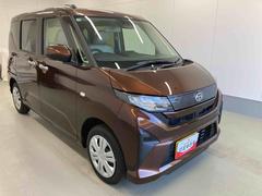 ����ϴ��츩�߽��ǥ��ƥʥ󥹤Ǥ�����ĺ�����������ˤʤ�ޤ��������Բ� 6