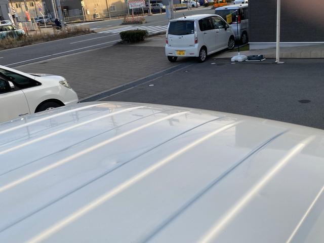 ���[�t�F蹊Q��