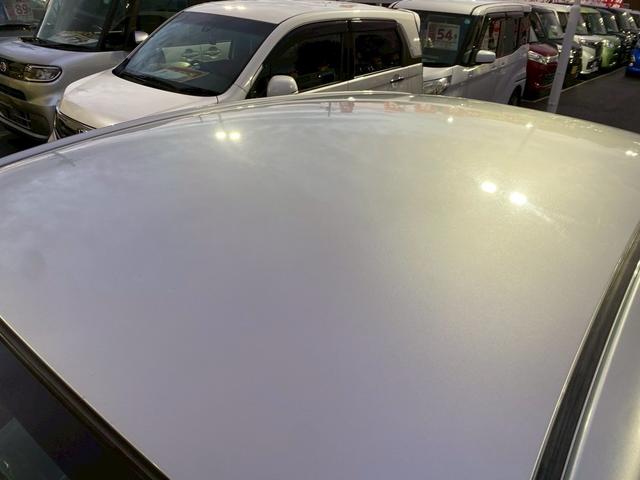 ���[�t�F蹊Q��