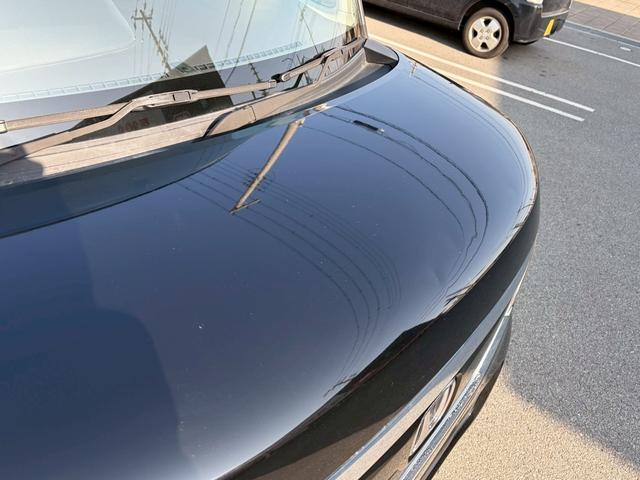 �{���l�b�g�F蹊Q��