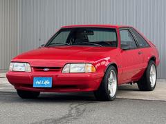 ޥ ̣ءڡ֥֥졼֥ۥ롡åȥե 0708031A30251212W001 7