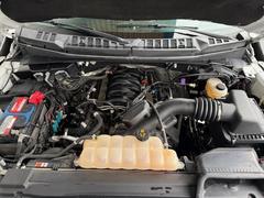 Ｆ−１５０ ＸＬＴ　クルーキャブ　４×４　ラプターカスタム　コラムＡＴ 0708031A30260106W001 5