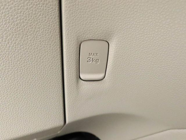 ミライース Ｘ（39枚目）