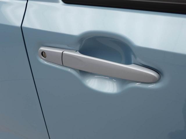 ミライース X リミテッドSAIII ドラレコ ナビ LEDヘッド ドラレコ ナビ テレビチューナー バックカメラ キーレス アイドリングストップ LEDヘッドライト ワンオーナー 禁煙車(19枚目)