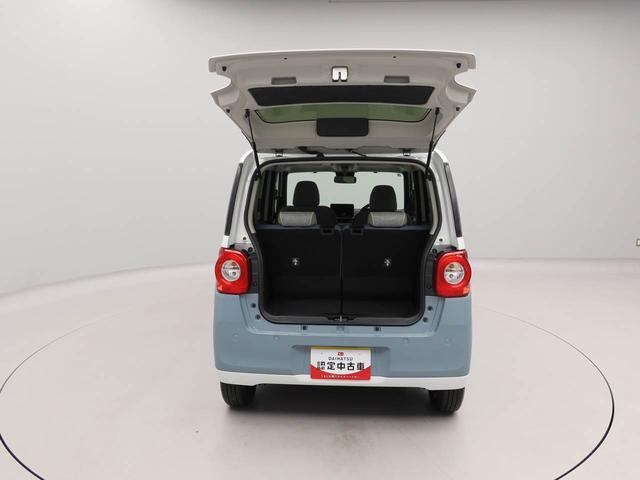 ムーヴキャンバス ストライプスG(57枚目)