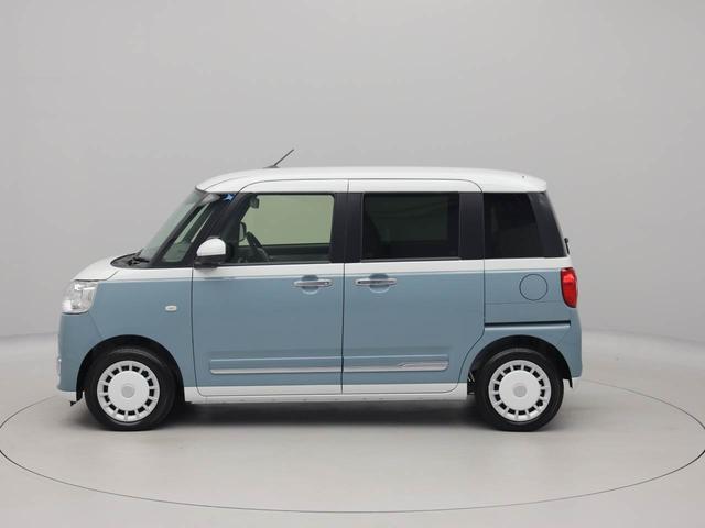 ムーヴキャンバス ストライプスG(65枚目)